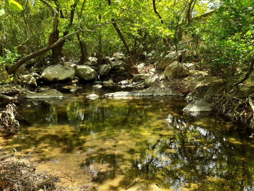 Naxos: A Riverbank Adventure (Kinidaros - Eggares villages) - Pradouna Elders tower and Mesa Geitonia: a farm settlement interlude