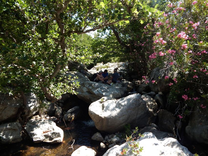 Naxos: A Riverbank Adventure (Kinidaros - Eggares villages) - The family-style meal at the end, plus the taste trail along the way