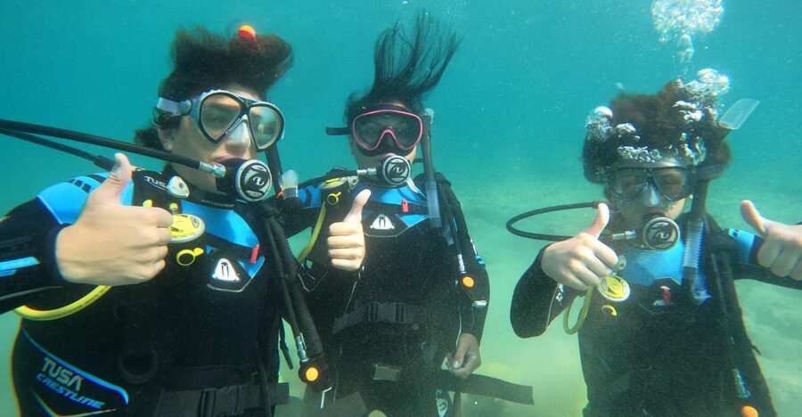 Naxos: Discover Scuba Diving on Agios Georgios Beach - Agios Georgios Beach, and why it’s a smart first choice