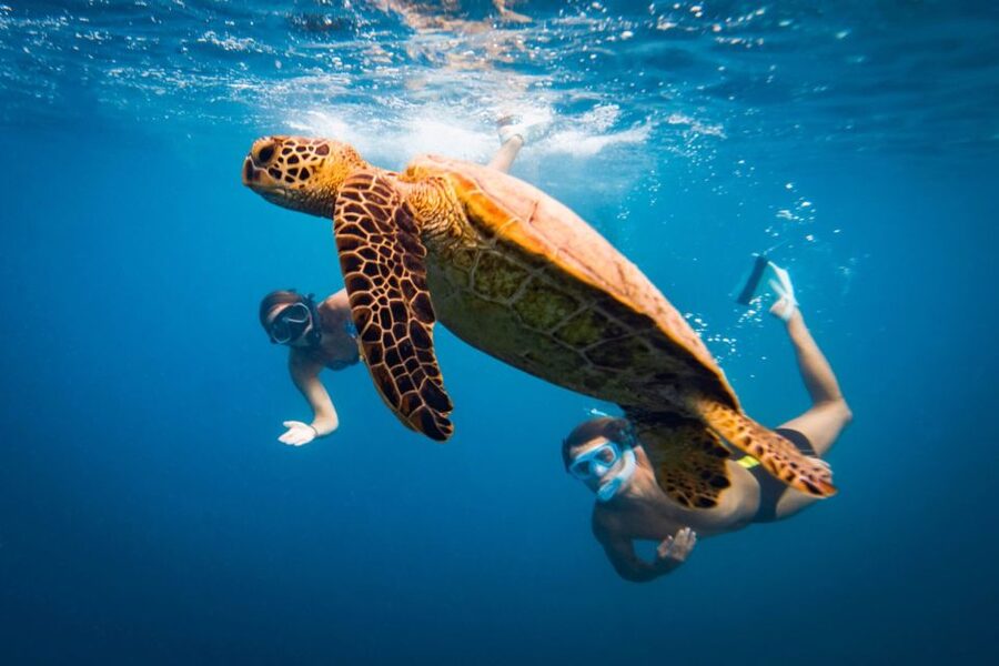 Naxos: Discover Scuba Diving on Agios Georgios Beach - The breathing drills that turn panic into control