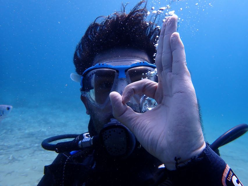 Naxos: Discover Scuba Diving - Your first experience diving - Wildlife viewing on the house reef: what you might actually see