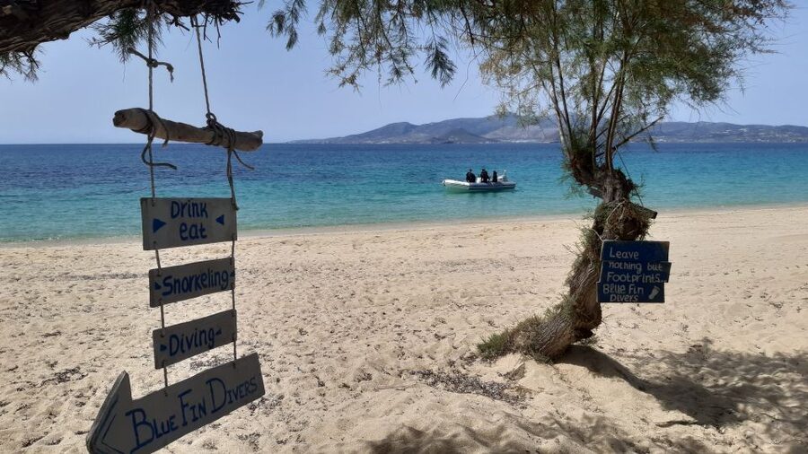 Naxos: Discover Scuba Diving - Your first experience diving - After you surface: what the experience feels like on land