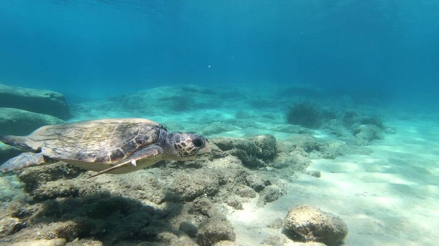 Naxos: Discover Scuba Diving - Your first experience diving - Should you book this PADI Discover Scuba on Naxos?