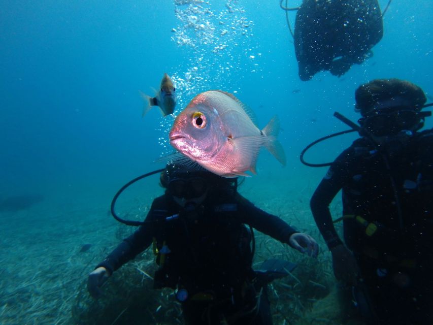 Naxos: Discover Scuba Diving - Your first experience diving - Meeting Blue Fin Divers and getting oriented (before you go under)