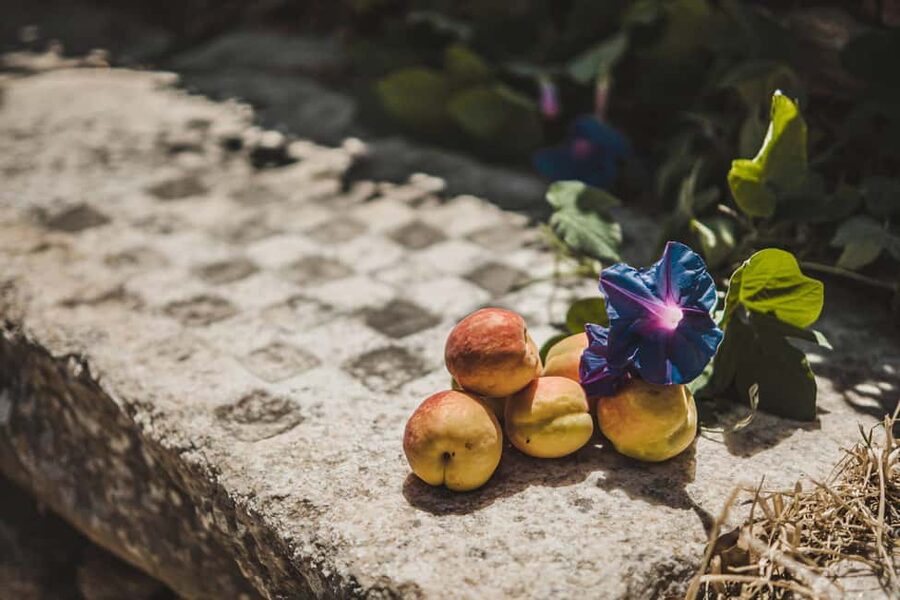 Naxos: Family Farm-table Cooking, Kouros Tour & Live Music - Who this Naxos family-farm experience suits best