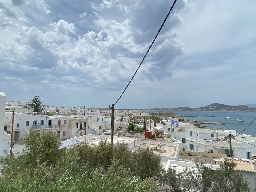 Naxos: Food Walking Tour & Cooking Class with Meal & Drinks - Cheese Shops and Citron Liqueur Tastings That Actually Teach Flavor