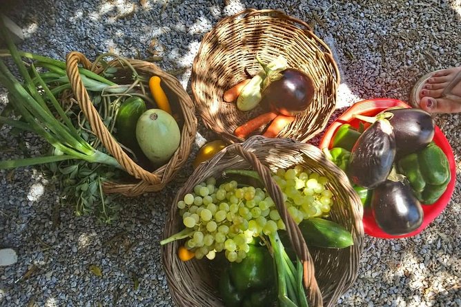 Naxos:Half-day cooking class at Basiliko - Touring the Family Farm Before You Cook