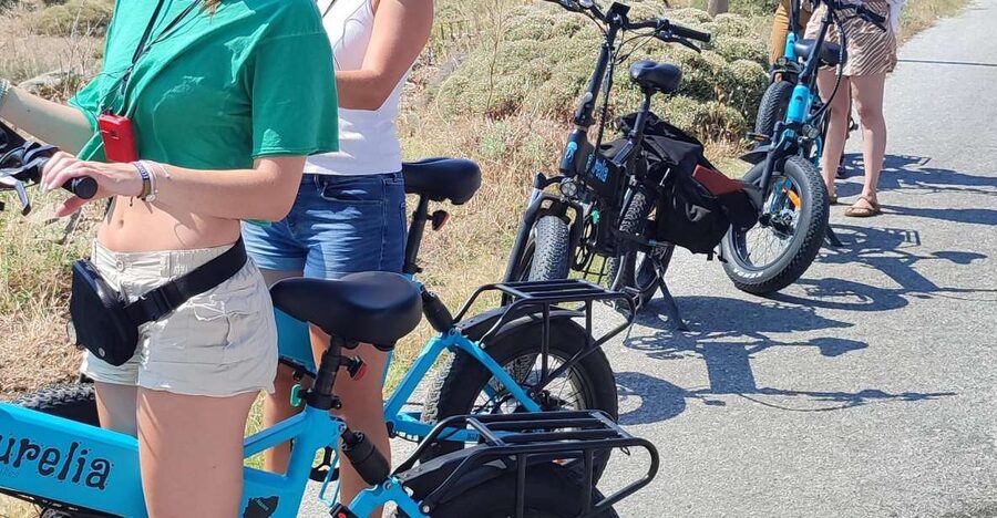 Naxos: Private E-Bike Tour with Farm Lunch - Stone mill olive press: the process, then the taste