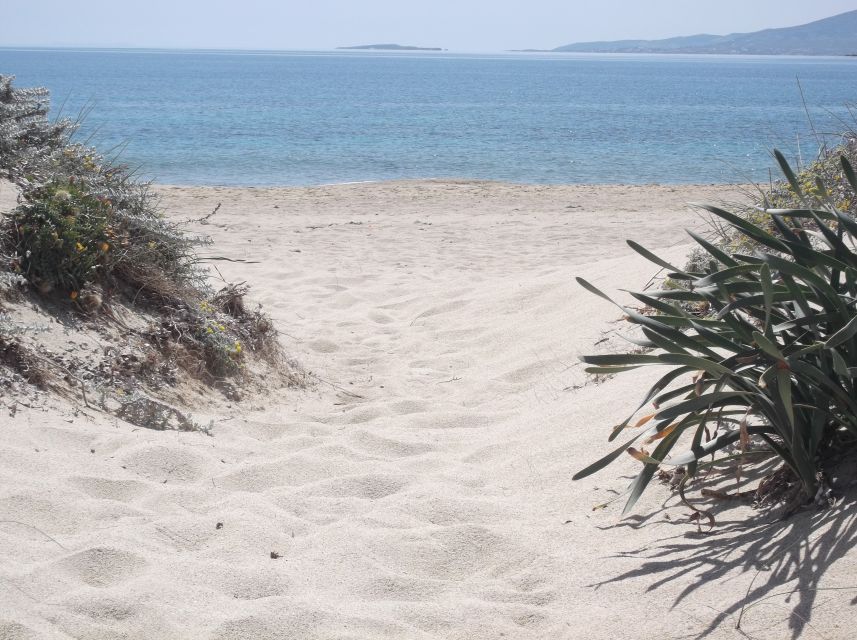Naxos: Private Minibus Rental with an Experienced Driver - Key points that make this day trip work