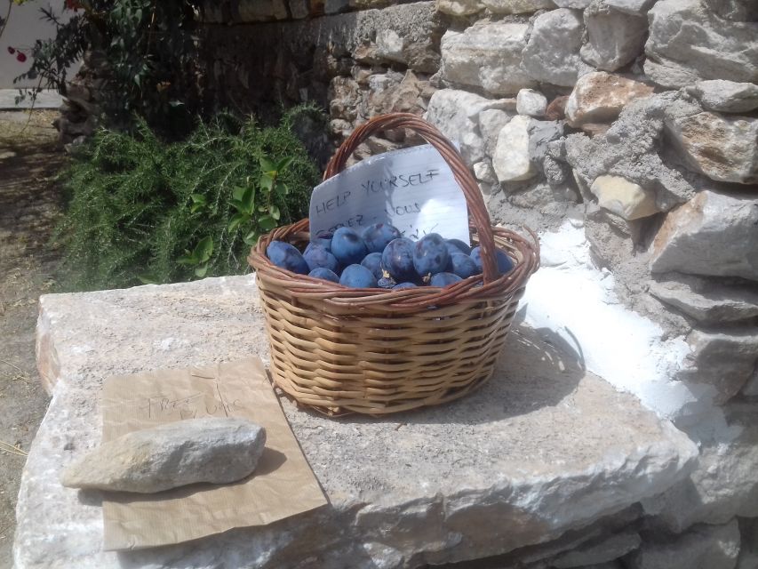 Naxos: Private Minibus Rental with an Experienced Driver - Beaches, lookout points, and how the private format pays off