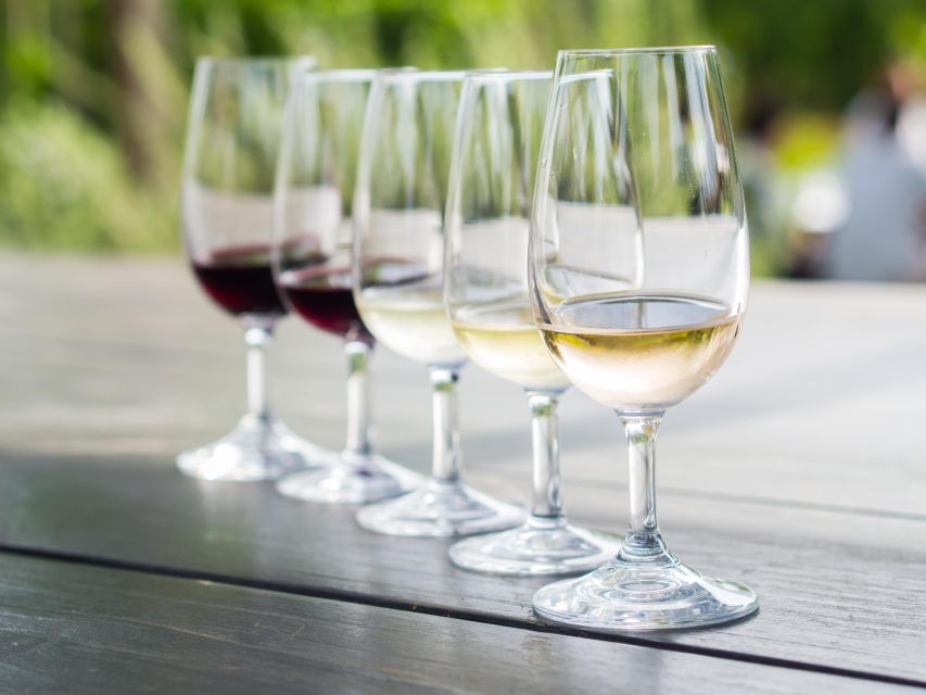 Naxos: Wine and Mythology Sunset Tour - Who this sunset tour suits best, and who should skip