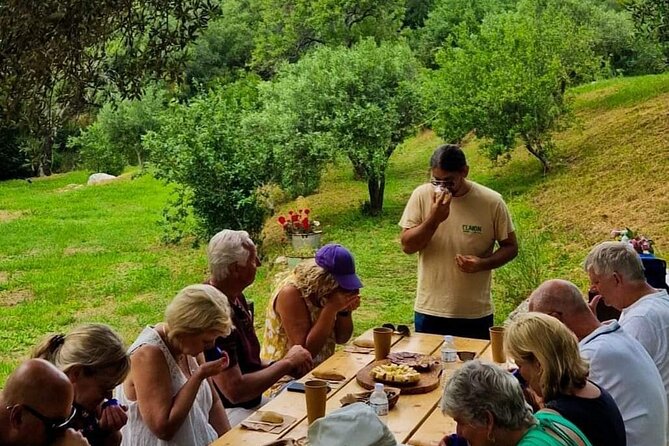 North Corfu Olive Tour With Olive oil Tasting & Meze - Should You Book the North Corfu Olive Tour?