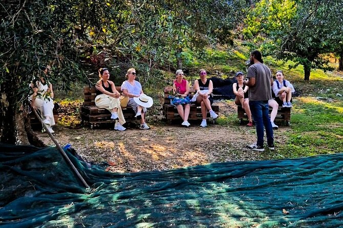 North Corfu Olive Tour With Olive oil Tasting & Meze - What You’ll Actually Learn (And Why It Matters)
