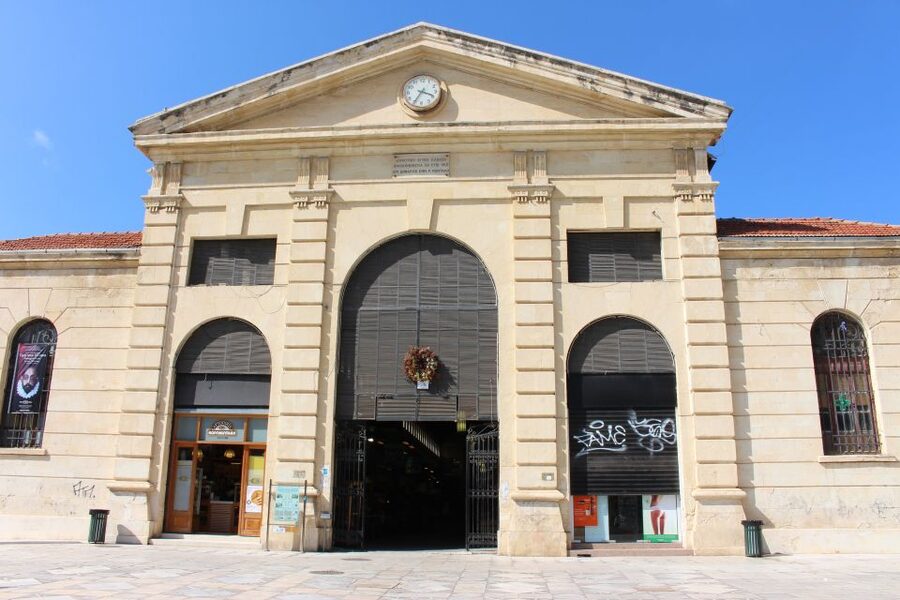 North-East Crete: Chania Full-Day Tour with Snack and Pickup - Lake Kournas Freshwater Break and Greek Coffee Finish