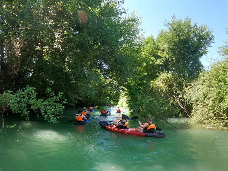 Parga: Acheron River Kayaking Adventure 5.5 km - Kayaking the Acheron: Greek Underworld Stories on Calm Water