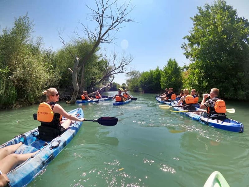 Parga: Acheron River Kayaking Adventure 5.5 km - Wildlife Spotting Along Calm Currents (Not Just Pretty Photos)