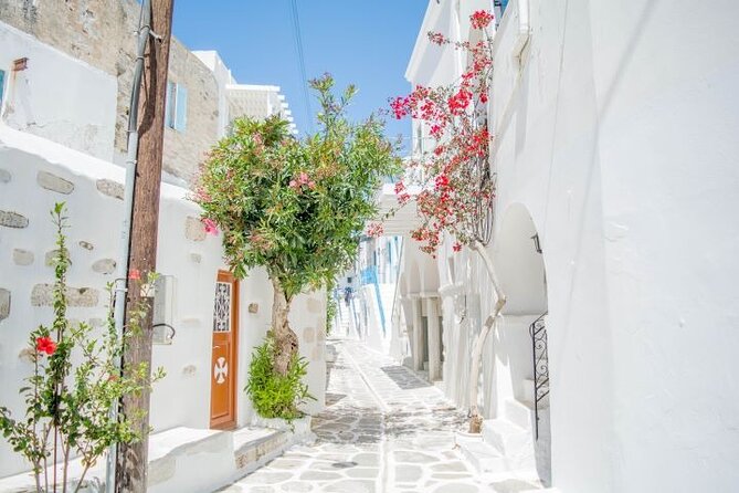 Paros & Antiparos Full-Day Discovery Guided Tour in English - Antiparos on Your Terms: Venetian Fortress Lanes, Shopping Time, and Swimming