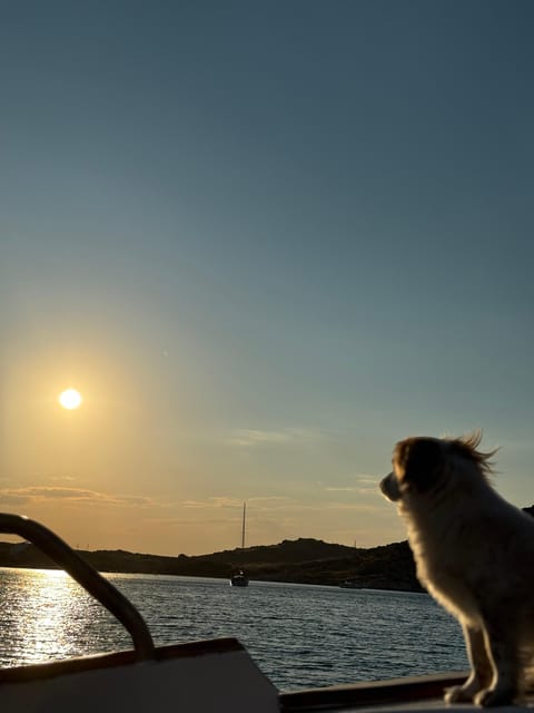 Paros: Highlights Tour with Fishing & Tasting in Naoussa - Sunset cruise option: wine, fruit, and a shorter sail