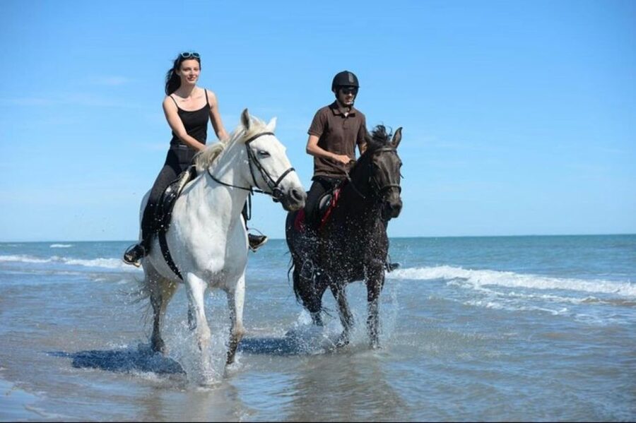 Paros: Morning Island Horseback Riding Adventure - Key highlights worth planning around