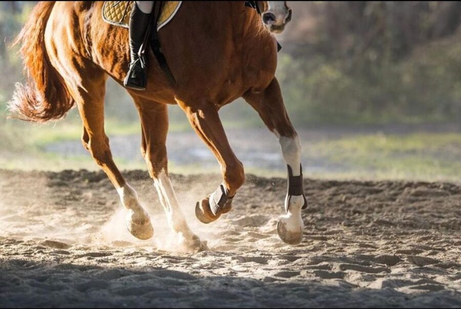 Paros: Morning Island Horseback Riding Adventure - Entering the right frame of mind for a Paros horse ride