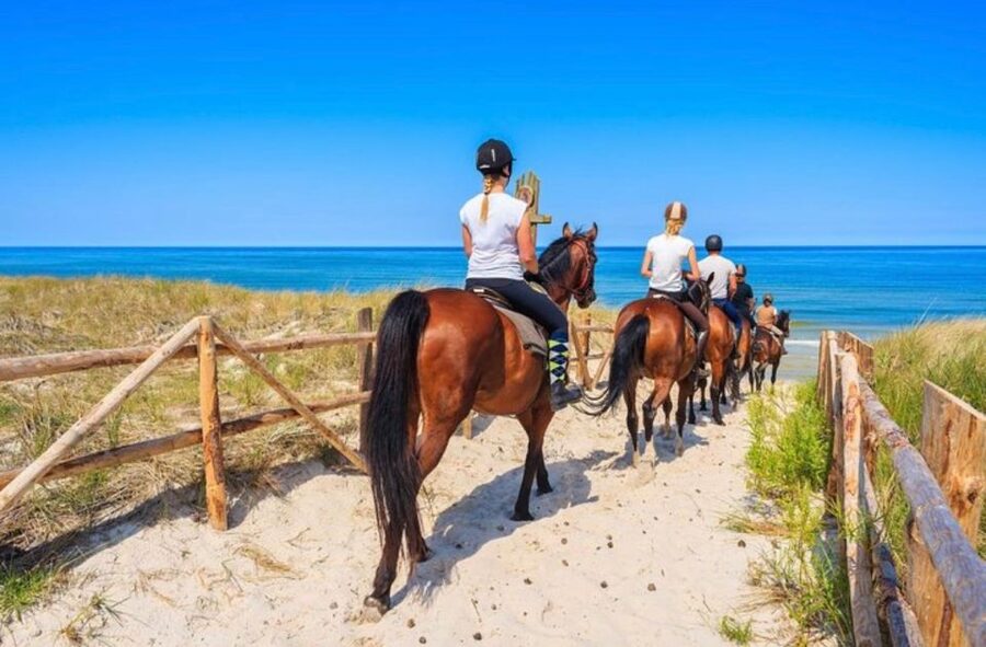 Paros: Morning Island Horseback Riding Adventure - Where the meeting point puts you (and what it means for planning)