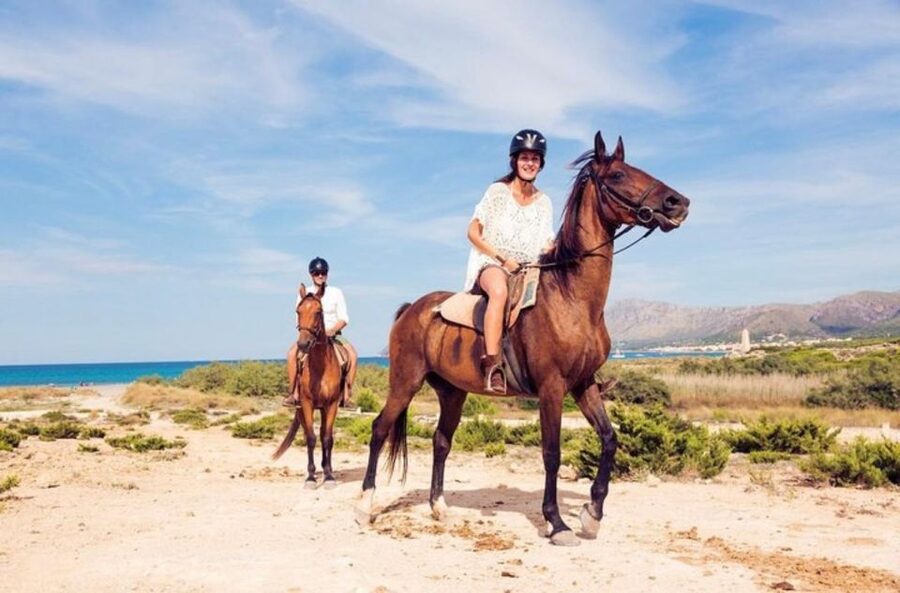 Paros: Morning Island Horseback Riding Adventure - Price and value: what $102 buys you on Paros