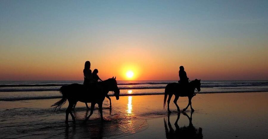 Paros: Morning Island Horseback Riding Adventure - The 1-hour flow: what happens from meet-up to goodbye