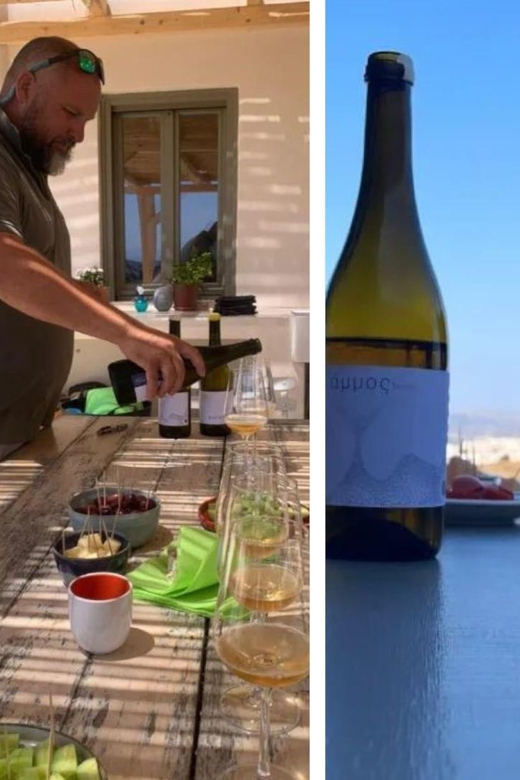 Paros: Wine tasting at Local Winery - Low-intervention natural wine, explained in plain language