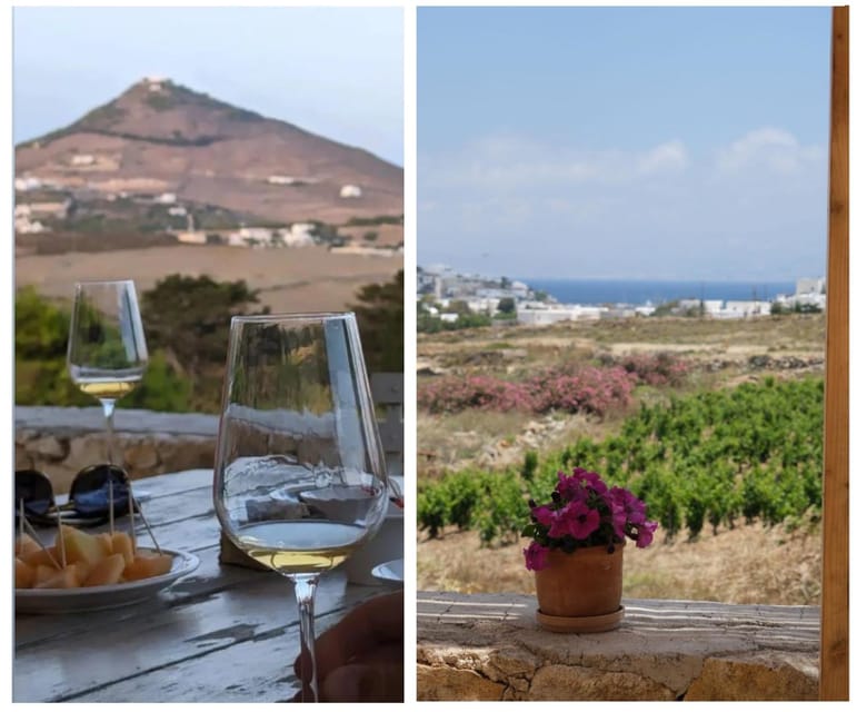 Paros: Wine tasting at Local Winery - What the short winery visit adds (and what it does not)