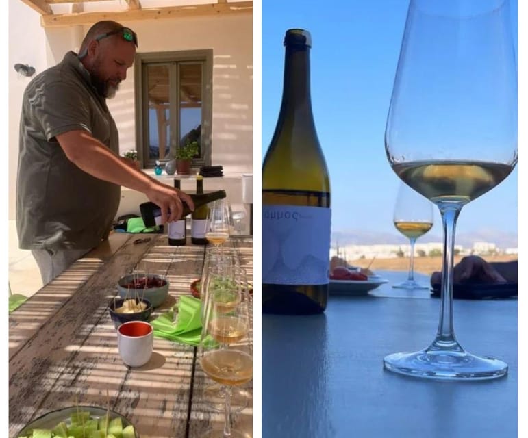 Paros: Wine tasting at Local Winery - Who should book this natural wine tasting