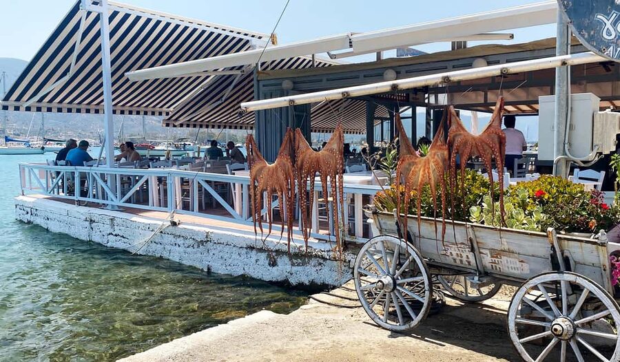 Poros Island: Full Day Trip From Athens with Swimming - Price check: what $58 covers, and why it feels fair