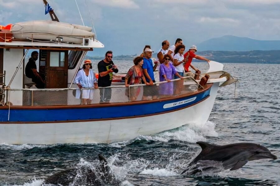 Preveza: Dolphin Watching Cruise with Lunch and Drinks - The swimming stop in clear water: cooling off without turning it into a hassle