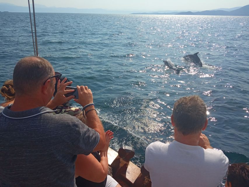 Preveza: Dolphin Watching Cruise with Lunch and Drinks - Price and value: does $70 actually add up?