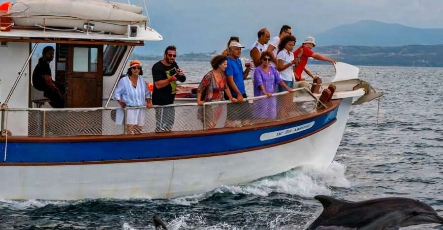 Preveza: Dolphin Watching Cruise with Lunch and Drinks - What to pack for a 5-hour boat day in Preveza