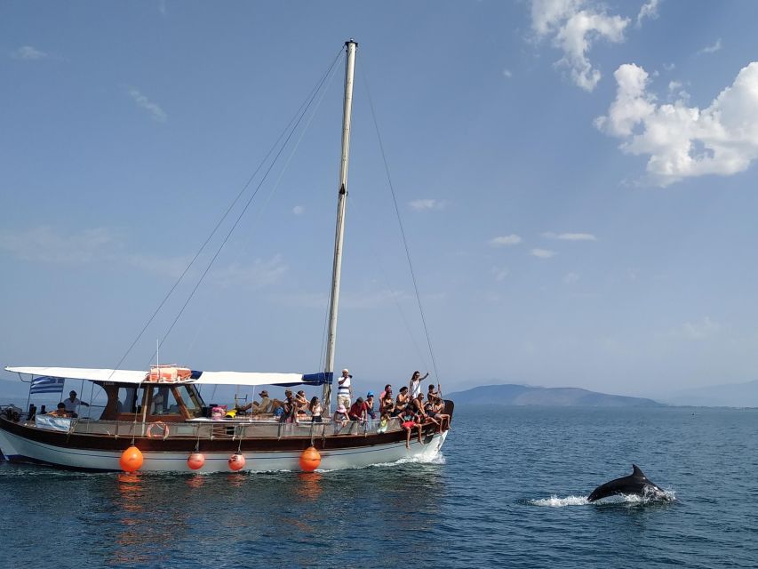 Preveza: Dolphin Watching Cruise with Lunch and Drinks - The Amvrakikos Gulf story: why daliani and fish farms are part of the show