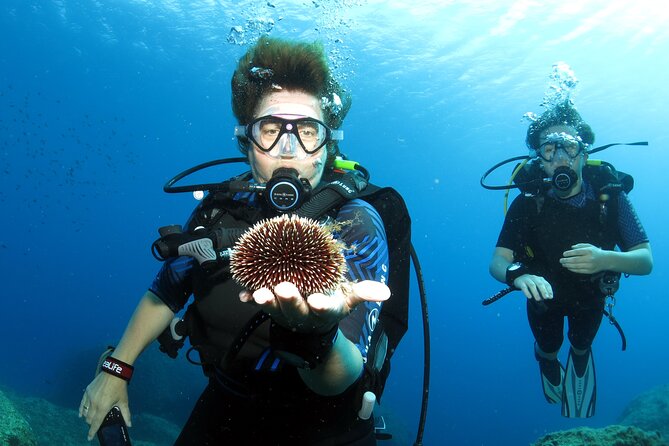 Private Discover Scuba Diving for Beginners in Athens with Pickup - The small extras that make the day feel finished