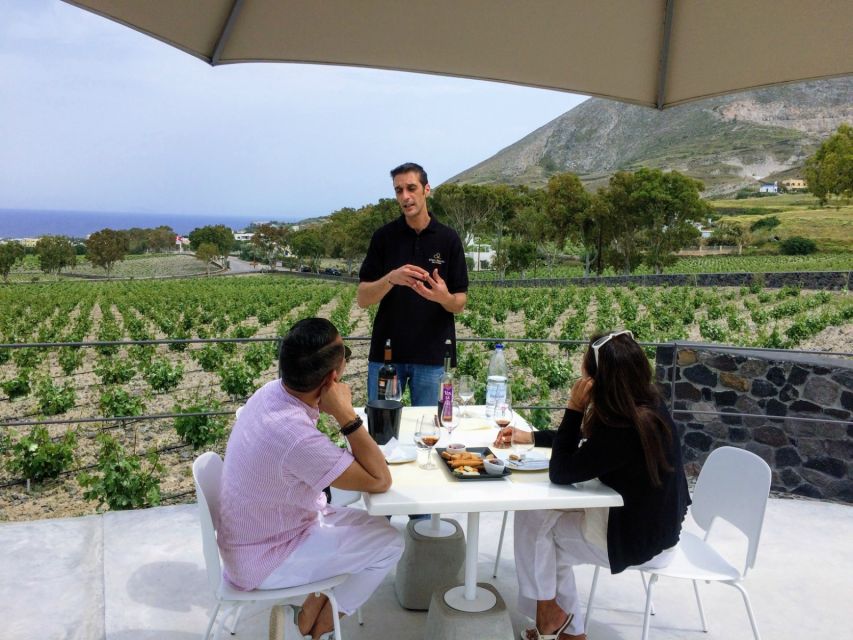 Private Group Visit to Akrotiri & 3 Wineries with Tastings - Should You Book This Akrotiri and 3 Wineries Tour?