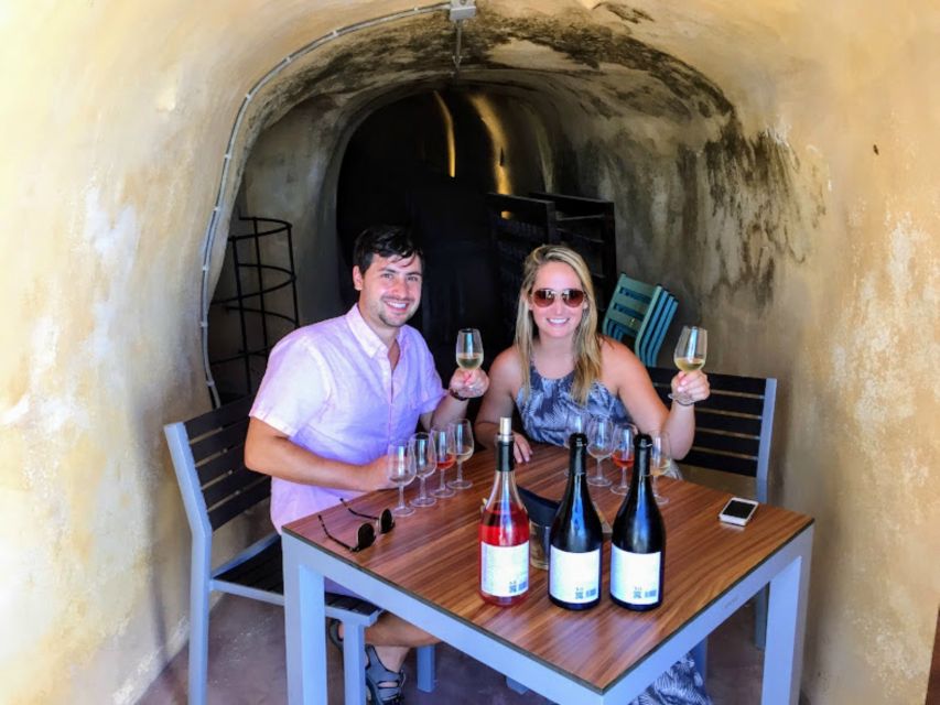 Private Group Visit to Akrotiri & 3 Wineries with Tastings - The Wine Tutorial: 12 Mini-Glasses and the Volcanic Logic