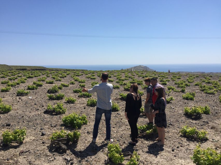 Private Group Visit to Akrotiri & 3 Wineries with Tastings - Three Wineries, Three Styles: Where the Day Gets Fun