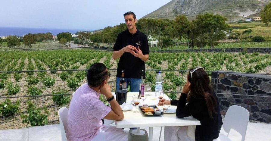 Private Group Visit to Akrotiri & 3 Wineries with Tastings - Transportation and Timing: How the Half-Day Stays Comfortable