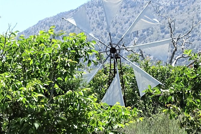 Private Tour-Knossos Palace Zeus Cave Olive Oil Mill & Wine - Gouves olive oil factory: what to expect from the tastings