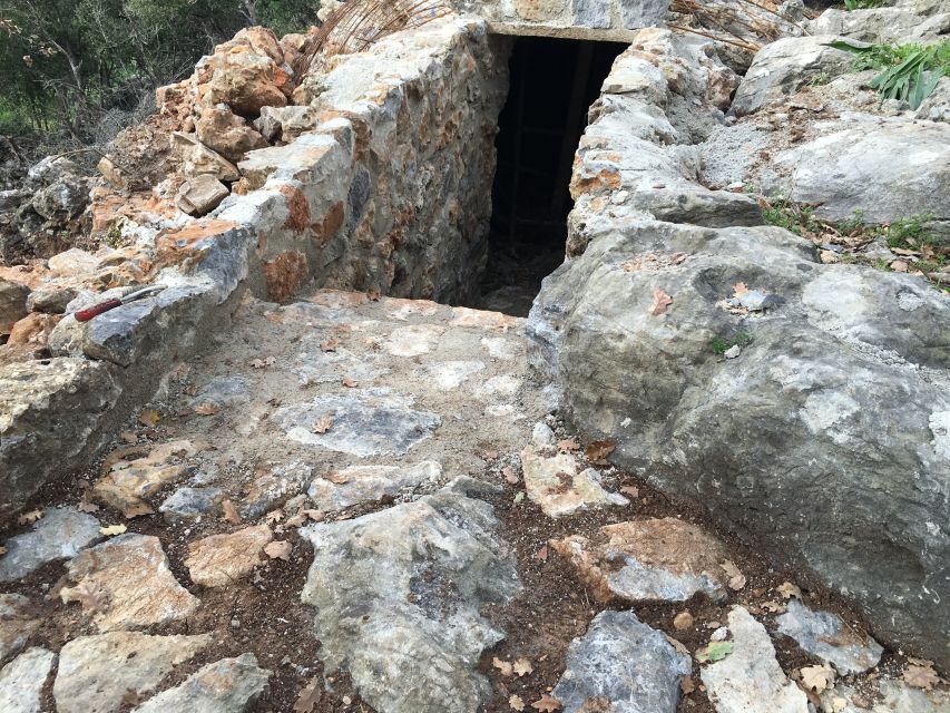 Rethymno 4x4 Safari: Tastes & Farm Experience - The Viewpoint and Wildlife Spotting Moment