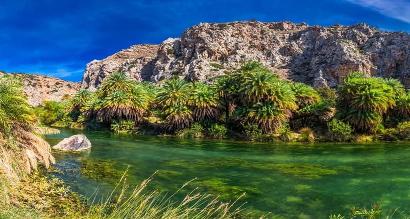Rethymno/Chania: Preveli Beach and Kourtaliotiko Gorge Tour - Key things I’d circle before you go