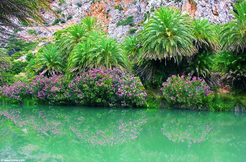 Rethymno/Chania: Preveli Beach and Kourtaliotiko Gorge Tour - Kourtaliotiko Gorge: springs, cliffs, and a trail with real steps