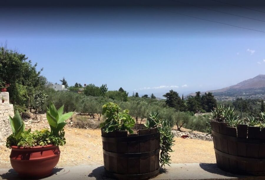 Rethymno: Private Winery & Olive Oil Tasting Tour with Lunch - Pickup in Rethymno City, Then a Private, Air-Conditioned Ride