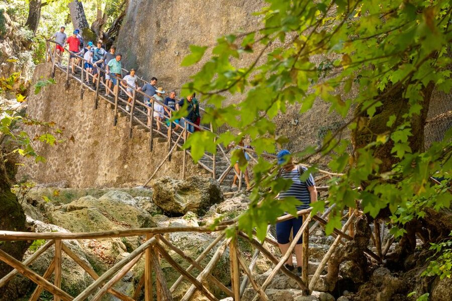 Rhodes: Butterfly Valley and Seven Springs Valley Day Trip - Butterfly Valley (Petaloudes): shade walks, steps, and butterfly season reality