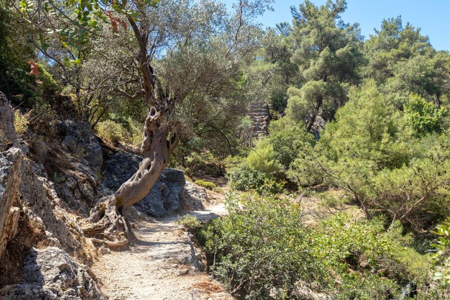 Rhodes: Butterfly Valley and Seven Springs Valley Day Trip - Cost and value: is $34 worth it after tickets and snacks?
