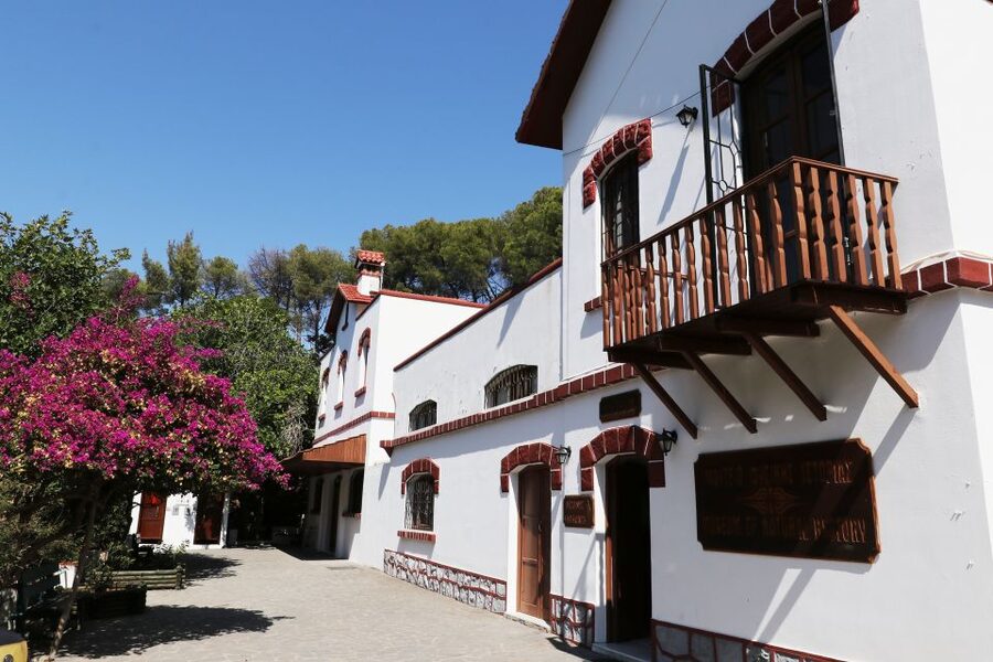 Rhodes: Butterfly Valley and Seven Springs Valley Day Trip - Who should book this Rhodes day trip, and who should skip it