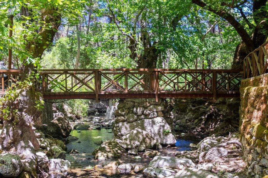 Rhodes: Butterfly Valley and Seven Springs Valley Day Trip - Should you book this Butterfly Valley and Seven Springs trip?