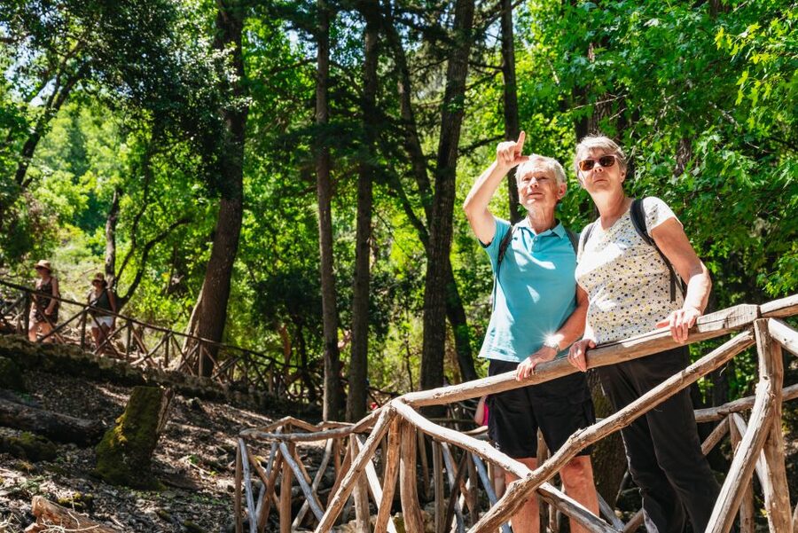 Rhodes: Filerimos Hill and Butterfly Valley Bus Trip - Price and Value: What You Pay, What You Get, What Costs Extra